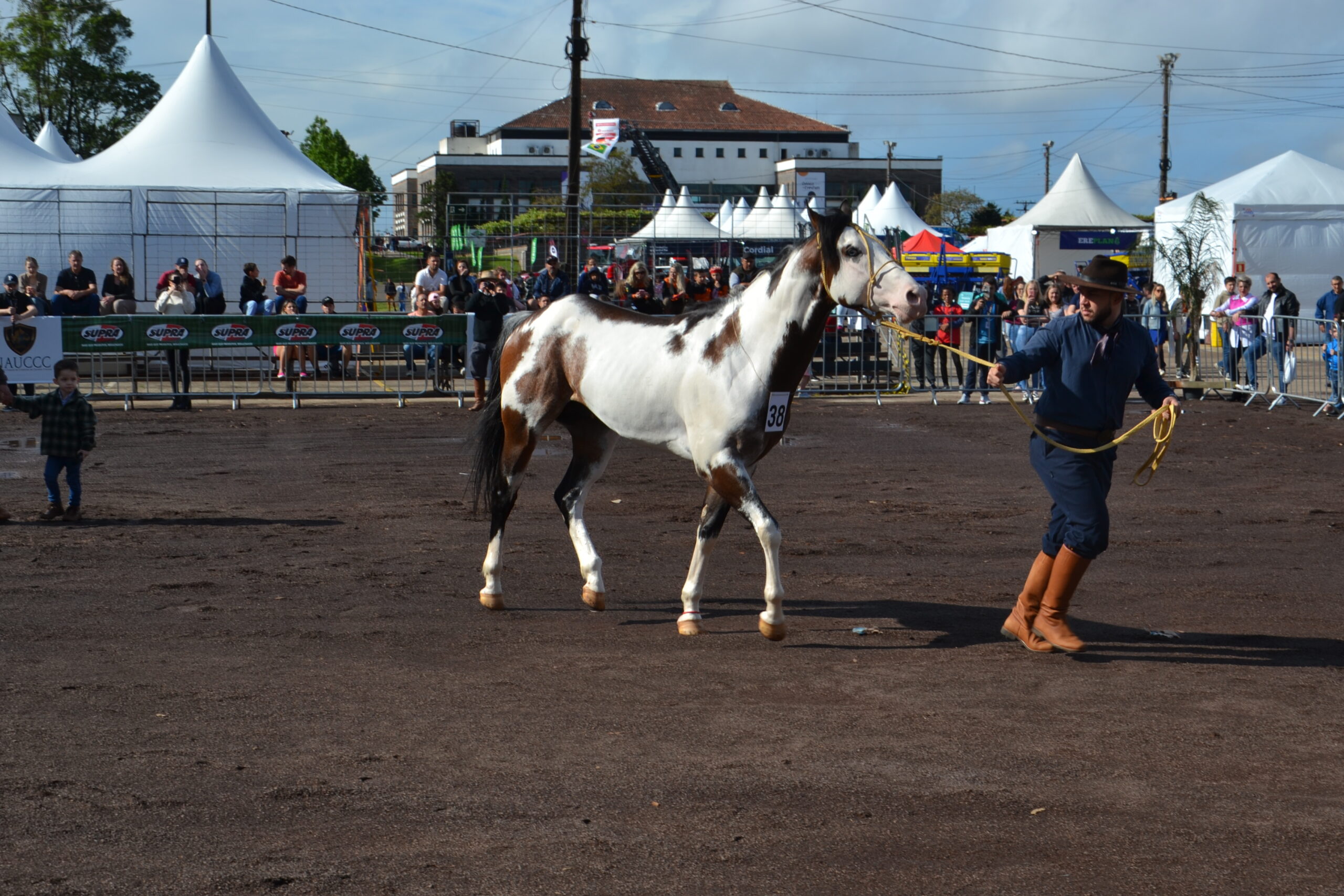 Acontece neste final de semana a 12ª Exposição Morfológica de Cavalo Crioulo